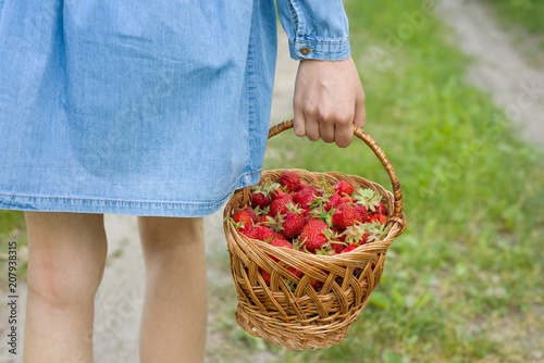 Basket with strawberries in a woman's hand. Background forest rural road