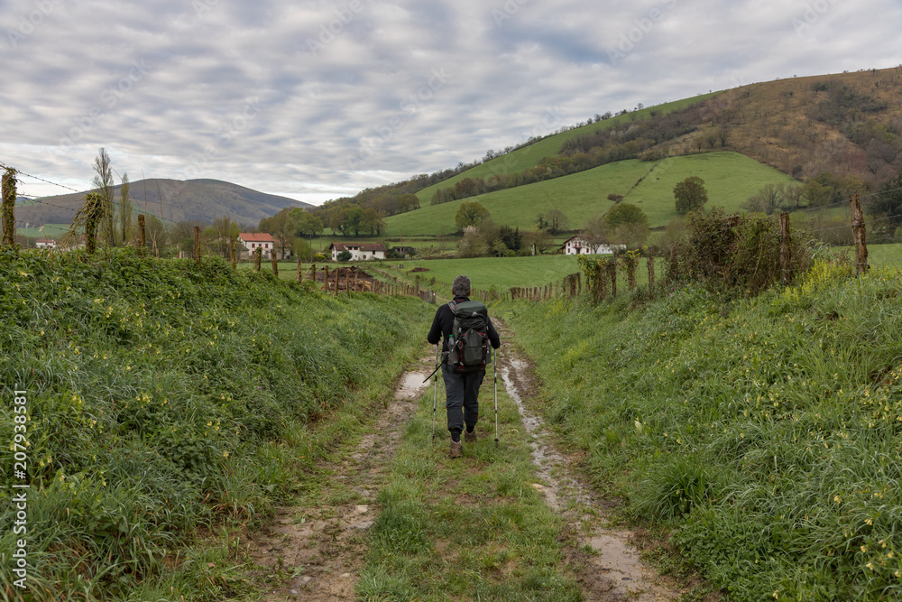 A Lonely Pilgrim walking towards Saint Jean Pied de Port on the Way of Saint James. World Heritage