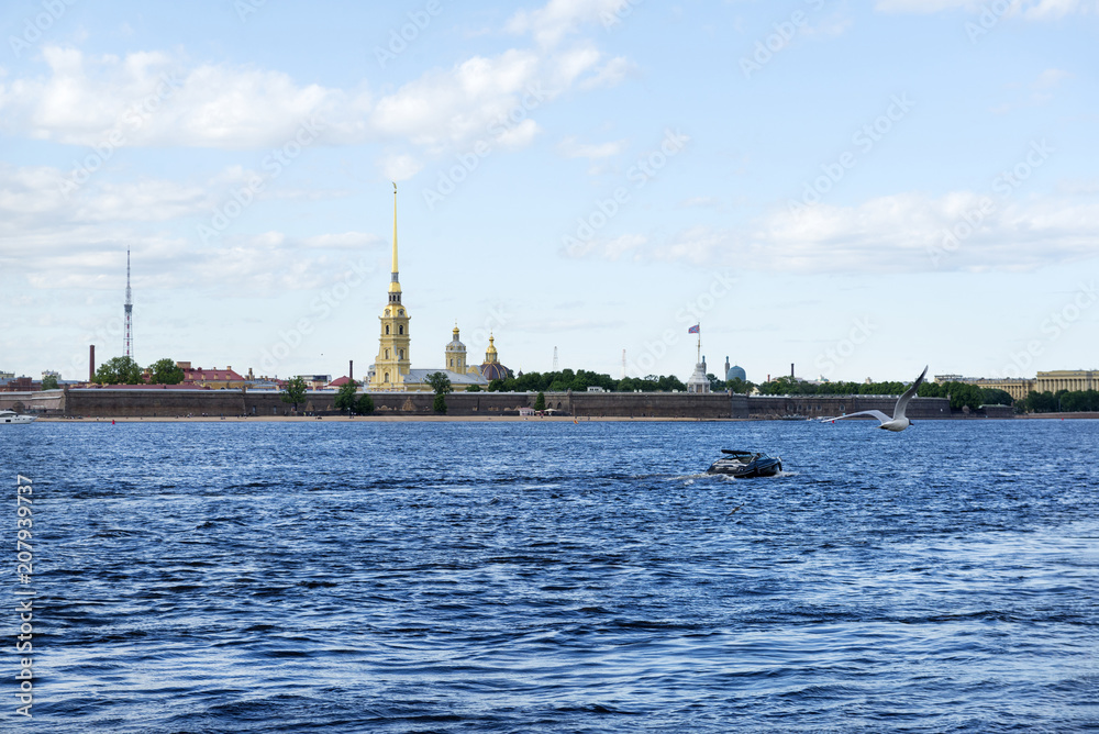 Neva river, boat, Seagull, Peter and Paul fortress, hare acute, St. Petersburg