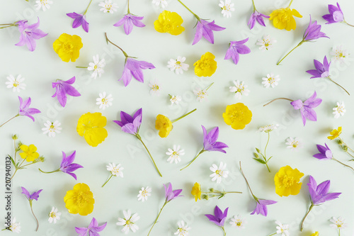 Creative flat layout of wildflowers, composition top view. © Tatiana Morozova