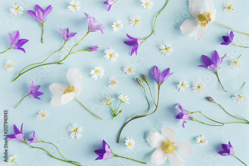 Creative flat layout of wildflowers, composition top view.