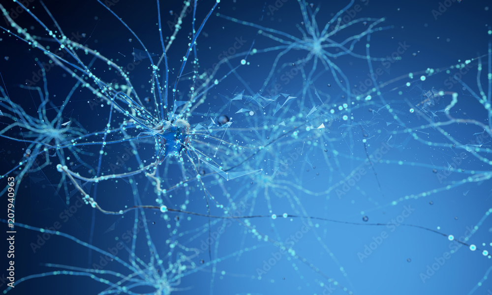 3d neuron cells 3d neuron cells