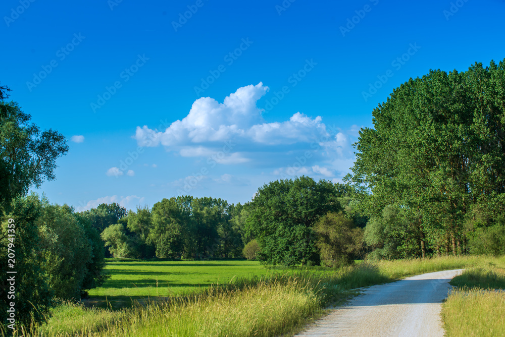 Landschaft Feld Wald Donau