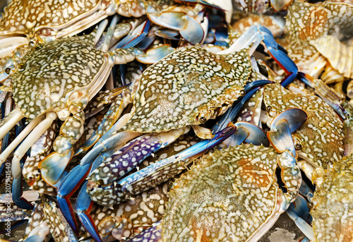 Colorful crabs with blue claws