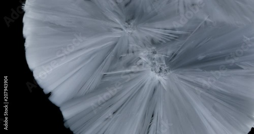 Crystals growth. The process of crystallization in supersaturated solution. Separated on pure black background, contains alpha channel.