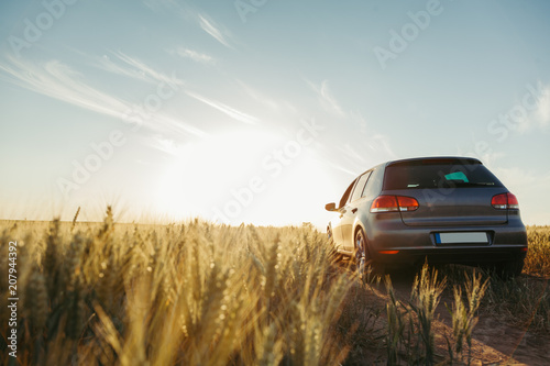 Car in the field in summer sunset