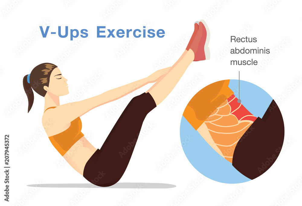 Rectus abdominis workout deals