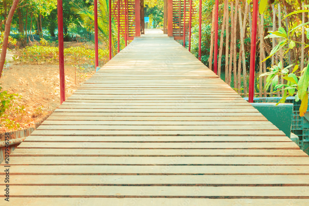 walkway wood bridge in natural mangrove forest environment at Chanthaburi travel Thailand walkway wood bridge in natural mangrove forest environment at Chanthaburi travel Thailand