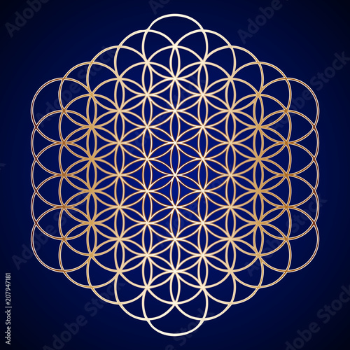 Gold Flower of Life on Background