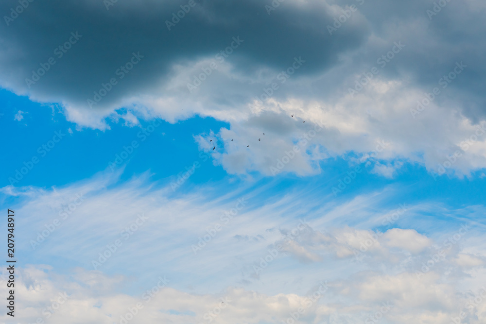 Obraz premium clouds in the sky