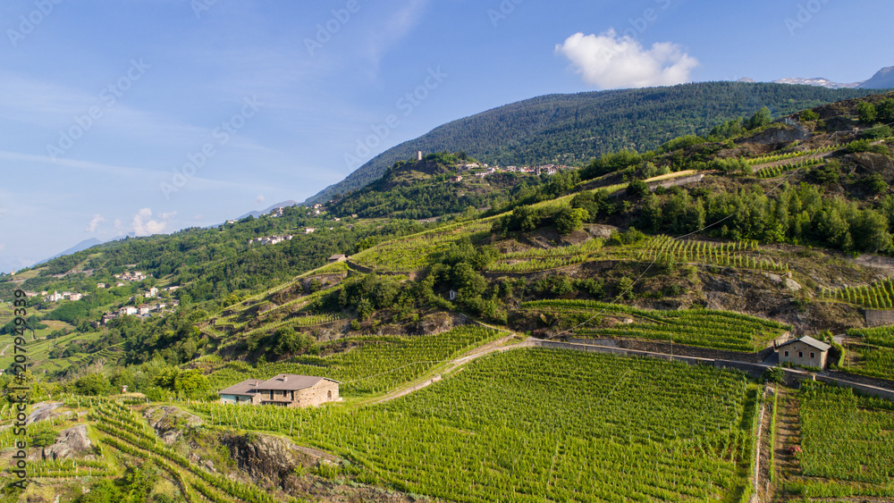 Cultivations in Valtellina, vineyards and terracing
