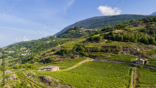 Cultivations in Valtellina, vineyards and terracing