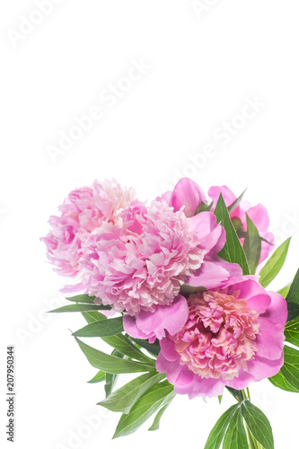 bouquet of blooming peonies