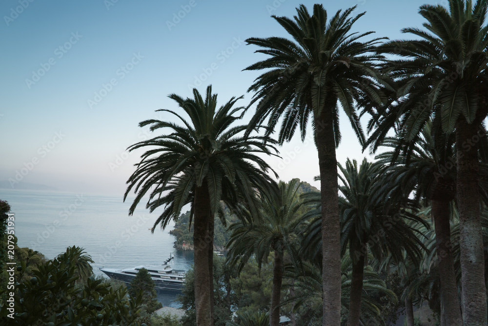 Palms at sea beach