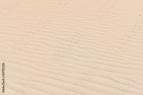 Beautiful background of a sandy beach 