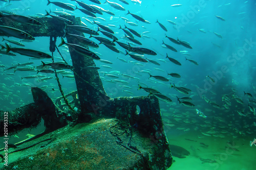 Underwater scene by a sunken ship