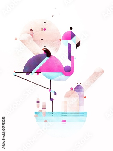 Placido Flamingo photo