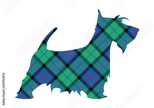 Scotch terrier tartan national pattern flower of scotland