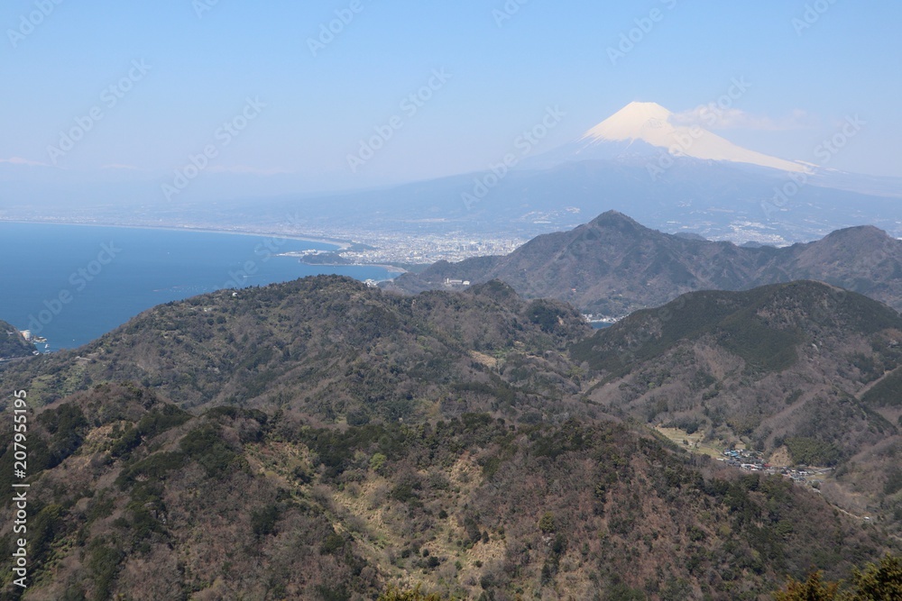 mountain Fuji and suruga bay