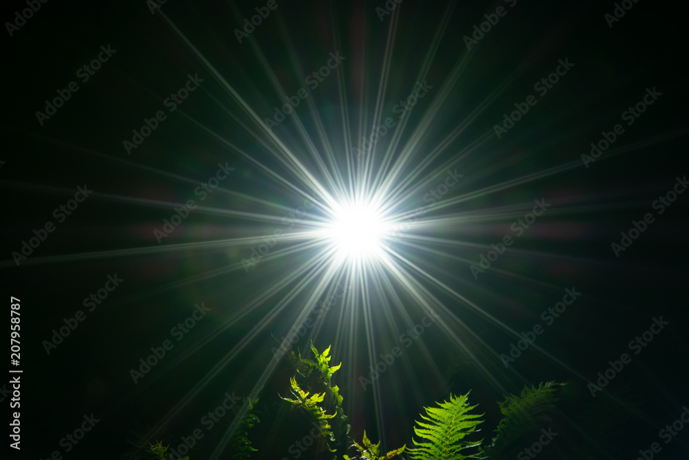 Fototapeta premium the light of hope