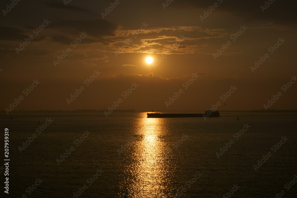 Naklejka premium Nature