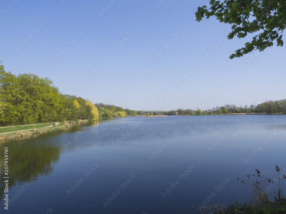 pond in Dolni Pocernice, biggest Prague pond, green tree and clear blue sky