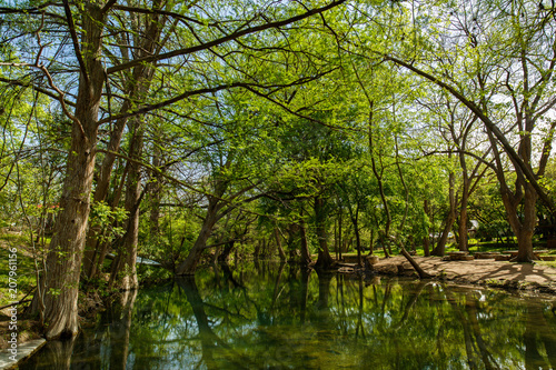 Texas Hill Country landscape photo