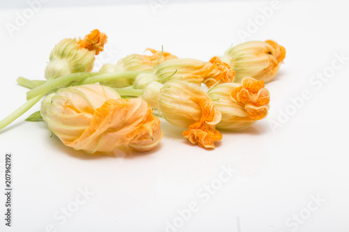 yellow summer squash blossoms
