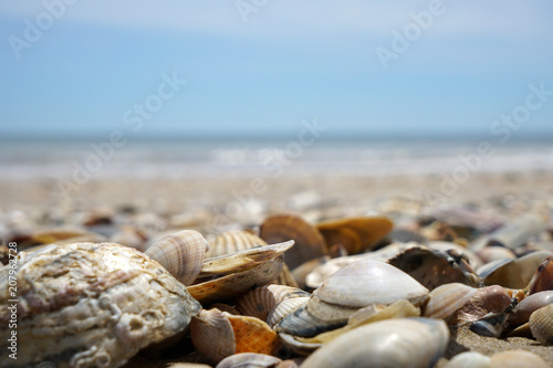 Lonely Atlantic beach 