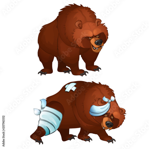 Healthy and diseased bear isolated on white background. Vector cartoon close-up illustration.
