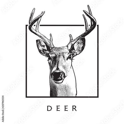 Deer head - black drawing isolated on white background.
Vector illustration of stags deer head in vintage style, graphic engraving design element for logo, pattern portrait of cute animal. 