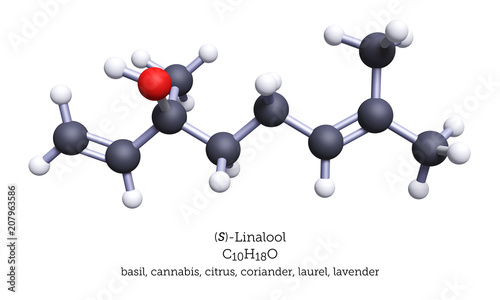 Ball-and-Stick Model of Linalool - 3D Illustration