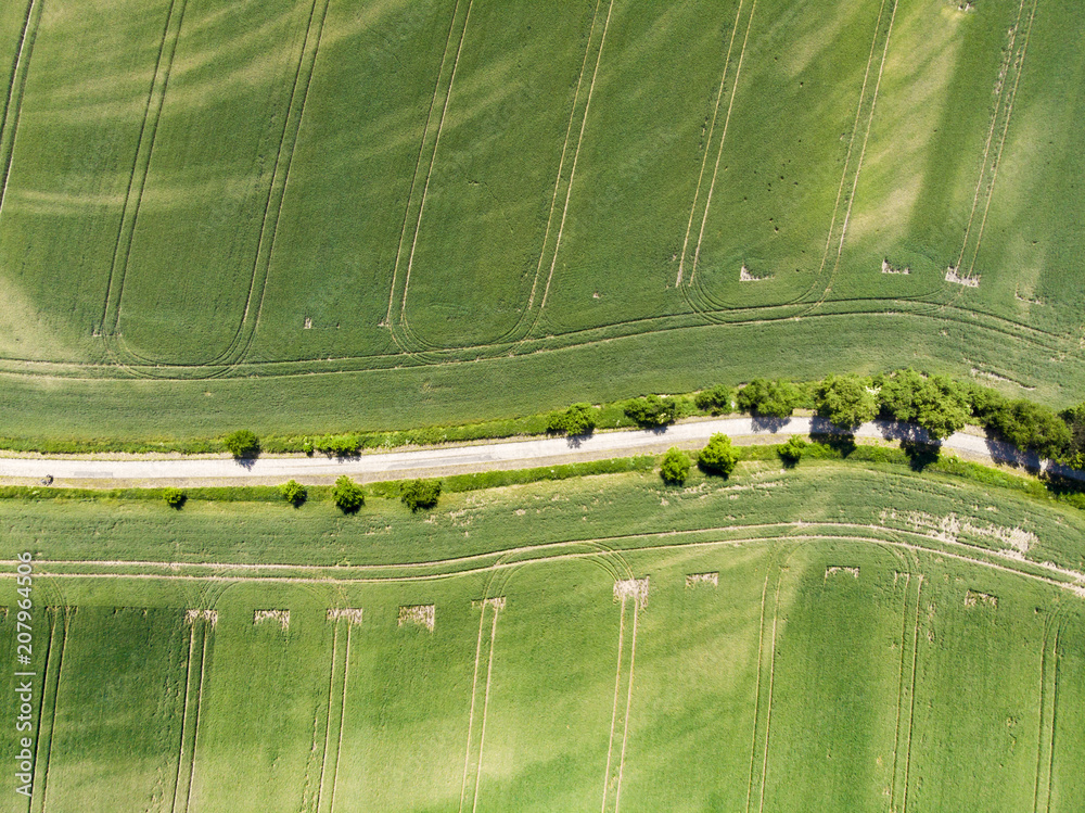 Field in Poland