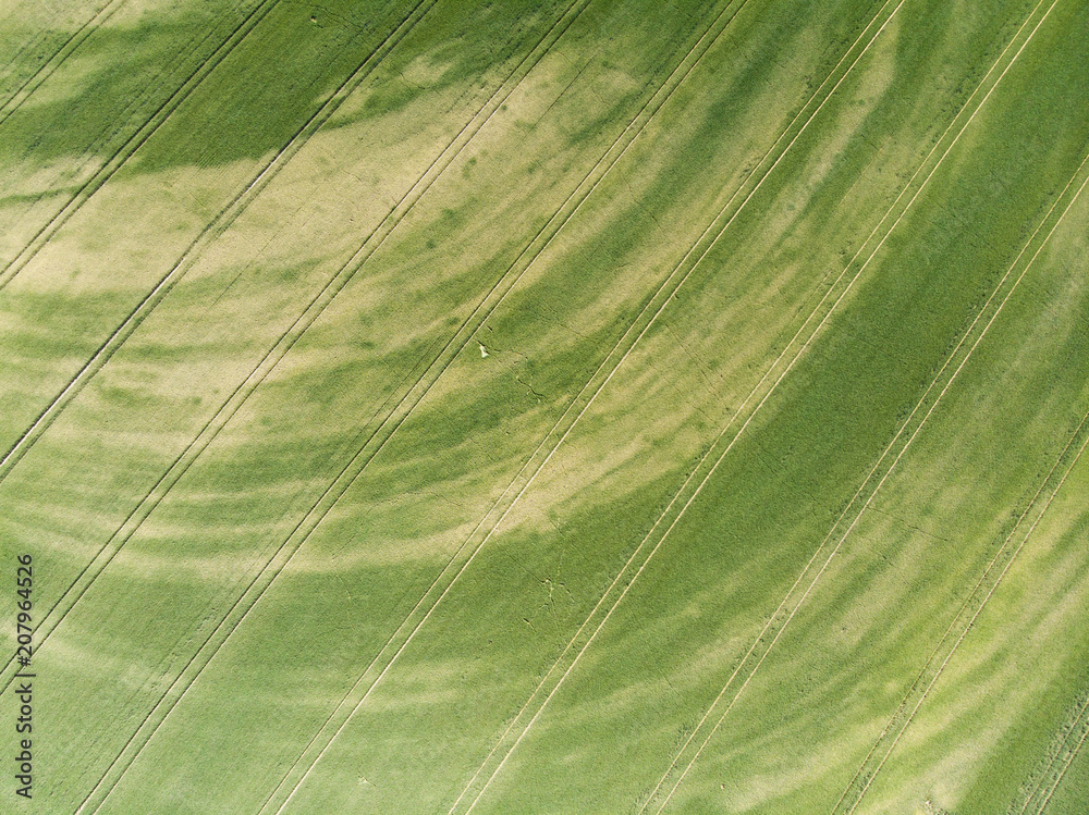 Field in Poland