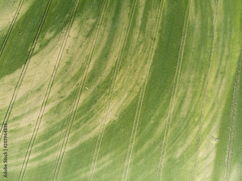 Field in Poland