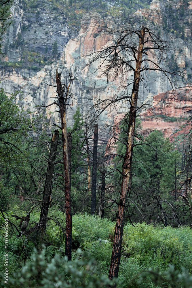 Oak Creek