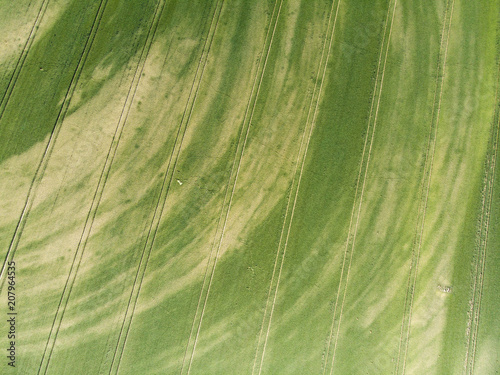 Obraz na płótnie Field in Poland w salonie