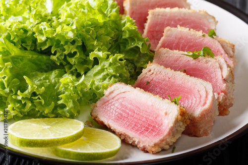 Tuna steak in breading Panko with lettuce and lime closeup. horizontal