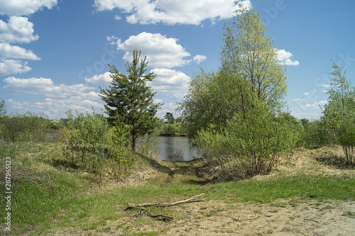 Fototapeta Naklejka Na Ścianę i Meble -  Spring landscape with river in rural terrain