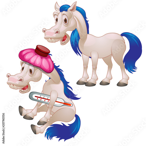 Healthy and diseased horse isolated on white background. Vector cartoon close-up illustration.