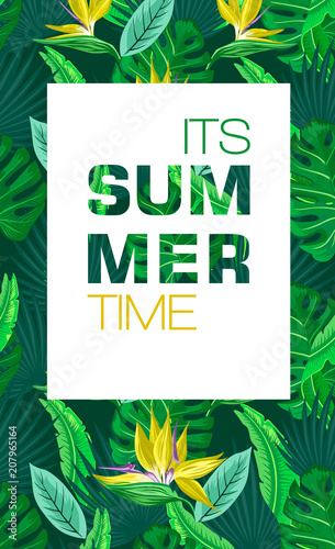 Its Summer Time background with tropical palm leaves, plants.  Summer placard, poster, flyer, banner invitation card.