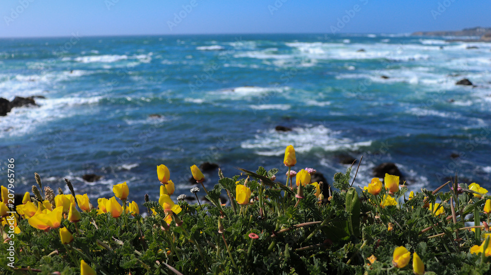 Naklejka premium Żółte tulipany na tle fal oceanu