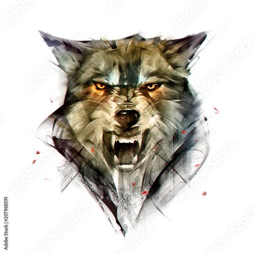 drawn isolated color portrait of a wolf animal