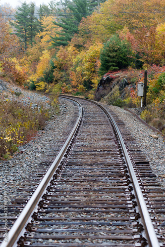 Single train tracks in a rural area during the fall season with coloured leaves along each side