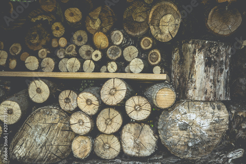 Old weathered wood texture