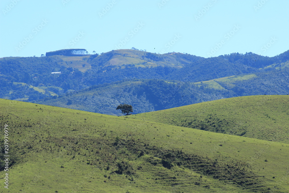 Obraz premium Lonely Tree and Mountains