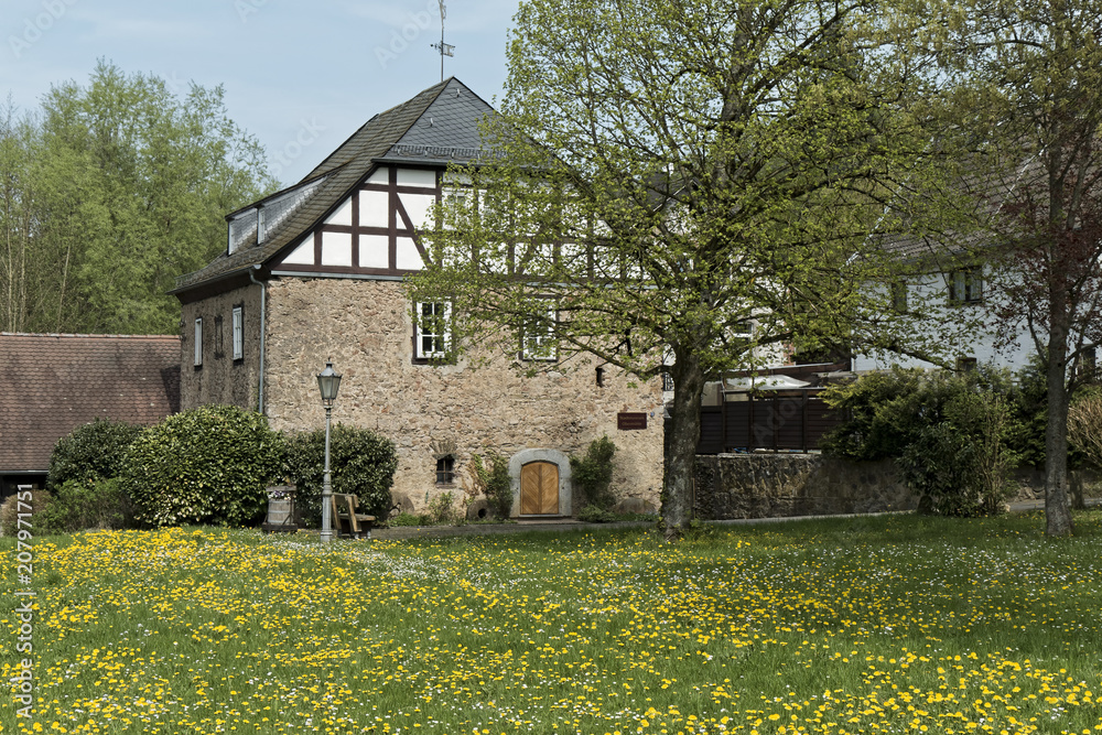 Braunfels, Germany – meadow full of wild flowers with the museum building in the background