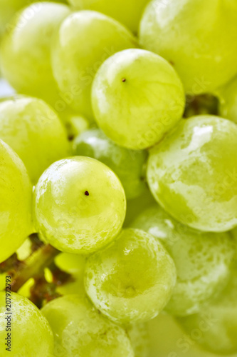 Close up picture of green grapes, selective focus.