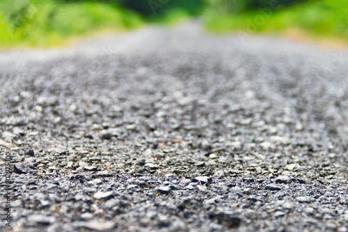 Asphalt road close-up in a green forest lit by sunlight