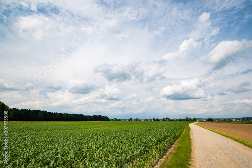 Beautiful countryside landscape in Styria Austria agronomy fields photo